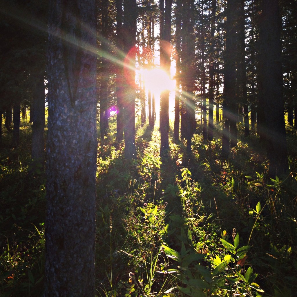 Camp Horizon Bragg Creek