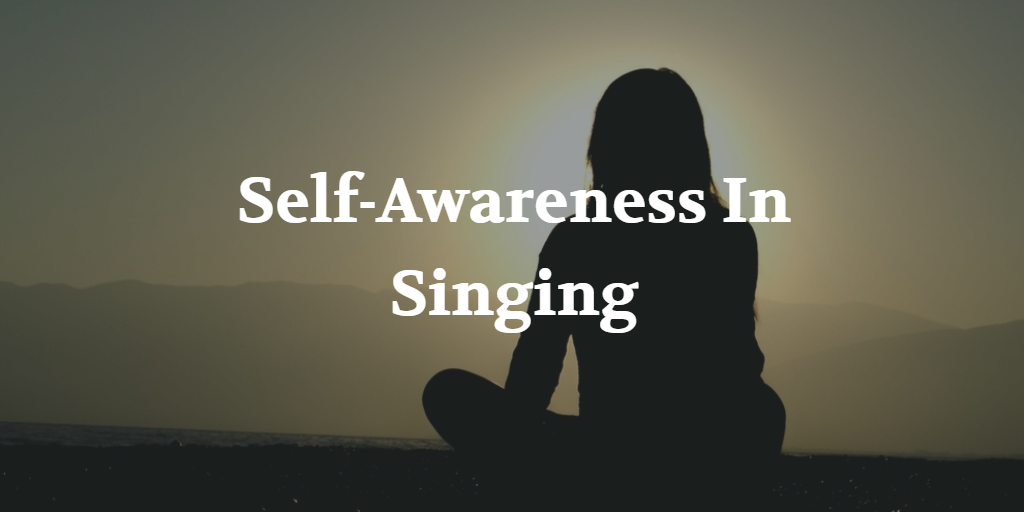 Self-Awareness in Singing